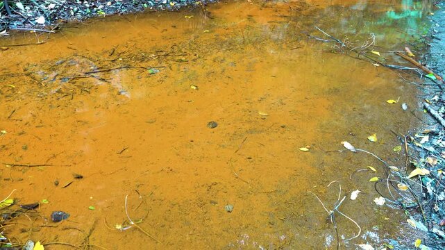 A mineral stream on the slope of the volcano with an abundance of iron oxide (iron deposits). The plants are covered with colored salt. Sulawesi Island. Indonesia