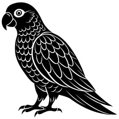 Fototapeta premium grey parrot silhouette victor black