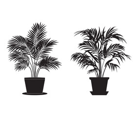 Vector design of a potted palm plant silhouette.