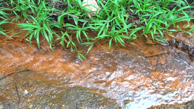 A mineral stream on the slope of the volcano with an abundance of iron oxide (iron deposits). The plants are covered with colored salt. Sulawesi Island. Indonesia