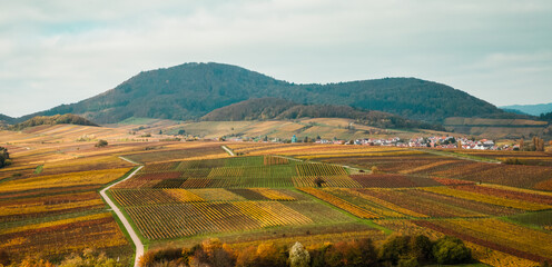 popular cultural travel destinations in Germany