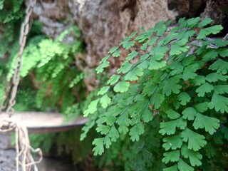 Eco farm in Apulia, Italy, 17 of August, 2025.