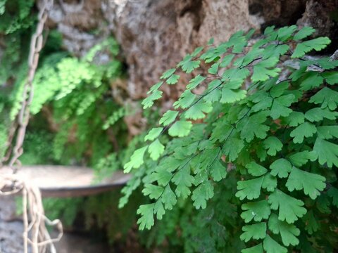 Eco farm in Apulia, Italy, 17 of August, 2025.
