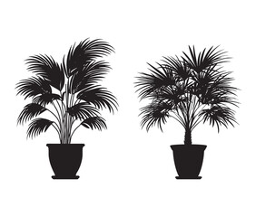 Vector design of a potted palm plant silhouette.