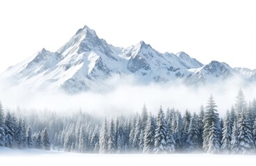 Panoramic view of snow-capped mountains, frosted evergreen forest under clear sky. Wisps of fog partially obscure trees. Vast, white landscape evokes serene winter atmosphere, perfect for adventure