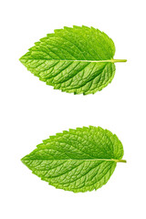 Two vibrant green mint leaves isolated on a transparent background, showcasing detailed veins and serrated edges, perfect for herbal and culinary themes