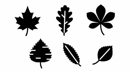 Solid black vector leaf icons collection representing nature, ecology, organic plants, and environmental conservation symbols