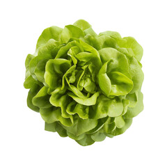 Fresh green lettuce head isolated on a transparent background, vibrant and crisp leaves perfect for salads, symbolizing healthy eating and freshness