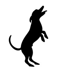 VECTOR PET SILHOUETTES BUNDLE SVG clipart 