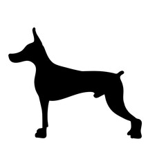 VECTOR PET SILHOUETTES BUNDLE SVG clipart 