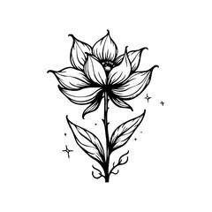 Detailed floral illustration with intricate line work showcasing a botanical bloom elegance in minimalist design