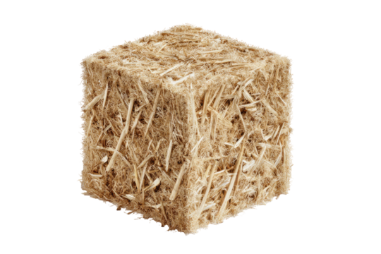 A cube of light beige, fibrous material.  Close-up view of interwoven strands