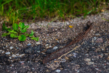 A corroded iron rod sticks out from broken asphalt, surrounded by gravel and weeds growing near the edge of the road.