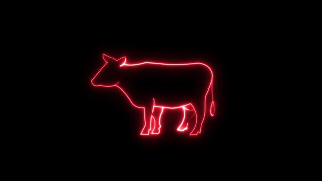 Red color neon sign of cow icon animation. Icon of a cow with a glowing neon effect. Cow icon concept animation on black background.