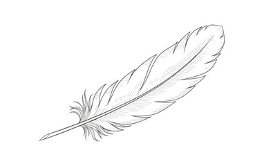 Detailed monochrome feather design