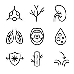 Lymphatic System Icons. Line style icons of lymphatic system: lymph nodes, lymph vessels, spleen organ, thymus line, tonsil icon,