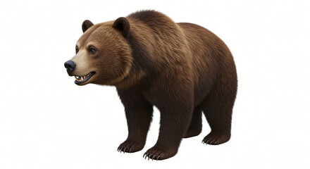 Fototapeta premium Majestic Brown Bear Portrait on White Background