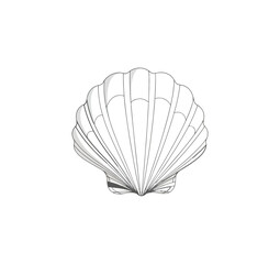 Monochromatic seashell illustration
