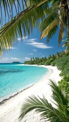 tropical beach with palm trees