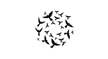 A swirling formation of silhouette birds circling in a circular pattern against a pure white background creating an abstract artistic design of freedom and unity