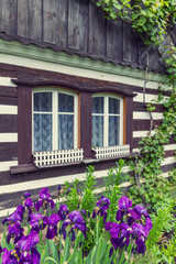 Purple irises growing near traditional czech timbered house in Libosovice, Czechia