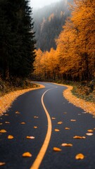 Serene winding road through autumn foliage