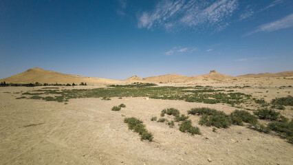 Desert Landscape with Sparse Vegetation
