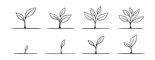Growing sprout plant doodle hand drawn icon set. Growth phases and stages outline drawing line clipart symbol collection
