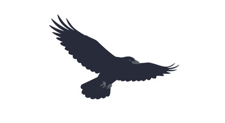 Fototapeta premium Majestic Raven in Flight A Dark, Silhouetted Illustration