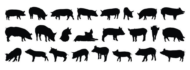 pig and piglet silhouette set. pig and piglet isolated farm animal silhouette icon vector collection