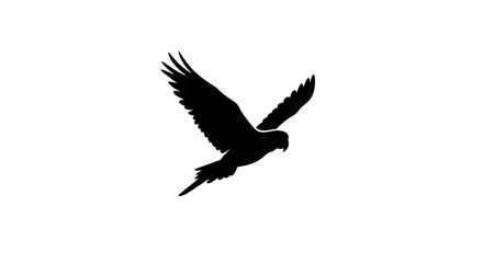 Fototapeta premium Monochrome vector illustration of a parrot in flight, a stark black silhouette of a soaring bird isolated on a clean white background