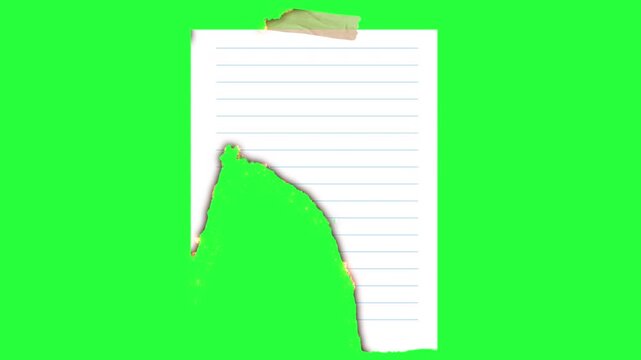 Burning paper, paper with burnt and scorched edges