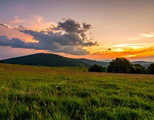 Fototapeta premium Lush meadow at sunset