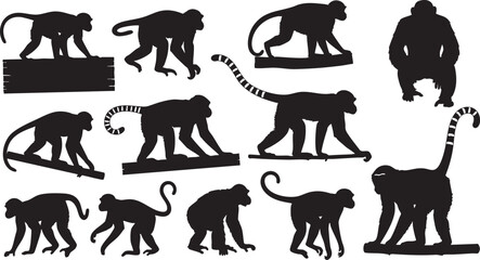 Collection of monkey silhouettes in various poses primate, monkey, silhouette, ape, primate, animal, mammal, wild, jungle, zoo, nature, creature, wildlife, illustration, graphic, design, vector, art, 