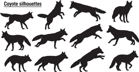 Coyote silhouettes in various poses and actions wolf, coyote, wolf, dog, canine, animal, wildlife, nature, silhouette, black, white, background, illustration, graphic, icon, vector, collection, set, g