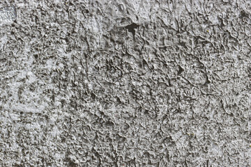 Concrete wall damaged by mold and mildew.