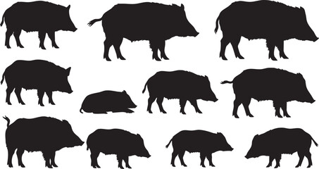 Set of black wild boar silhouettes in different poses, wild boar, pig, hog, boar, swine, animal, wildlife, mammal, silhouette, black and white, vector, illustration, graphic, design, icon, symbol, iso