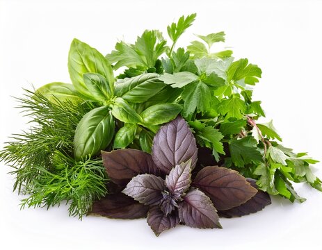 bunch of fresh herbs isolated on white - Powered by Adobe