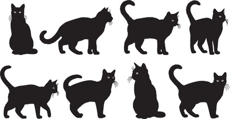 Various poses of black cat silhouettes on white background, cat, kitten, feline, pet, animal, domestic, silhouette, black, white, background, isolated, sitting, standing, walking, playful, curious, el