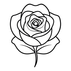 Minimalist rose flower outline thin line art isolated on white background
