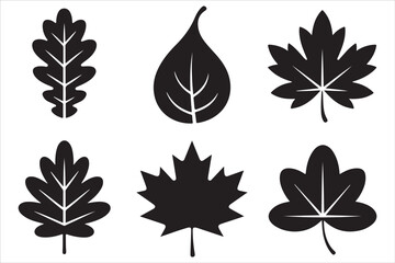 Fototapeta premium Fall Silhouette Bundle EPS Autumn Leaves Pumpkin Thanksgiving Halloween Clipart Set