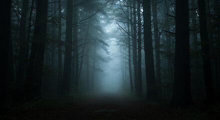 Naklejka premium Enchanted Dark Forest with a Path and Heavy Fog