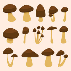 Set of Brown Mushroom Flat Design Illustration