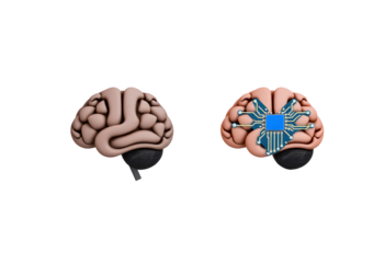 Human Brain vs AI Brain A Conceptual Illustration