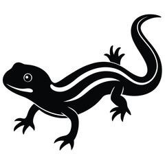 NEWT VECTOR