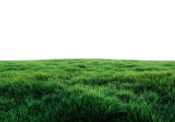 Lush green grass field stretches to horizon.  A vast expanse of vibrant, short grass with varying shades of green, gently undulating. The image is a panoramic view