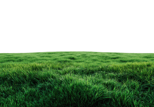 Lush green grass field stretches to horizon.  A vast expanse of vibrant, short grass with varying shades of green, gently undulating. The image is a panoramic view
