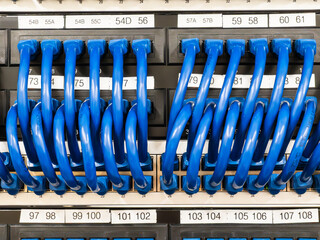 network hub and patch cables