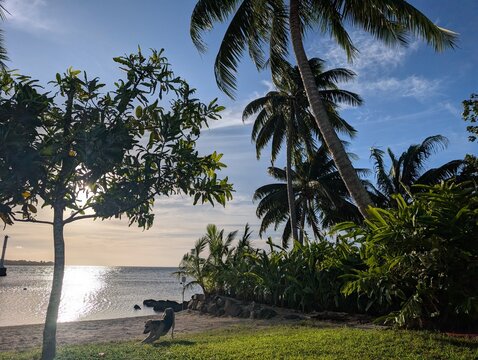 walk on the beach