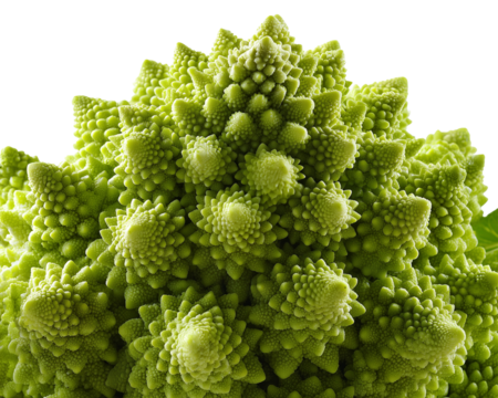 Romanesco broccoli fractal pattern